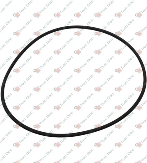 ANELLO OR VALPADANA - LANDINI - VP342795