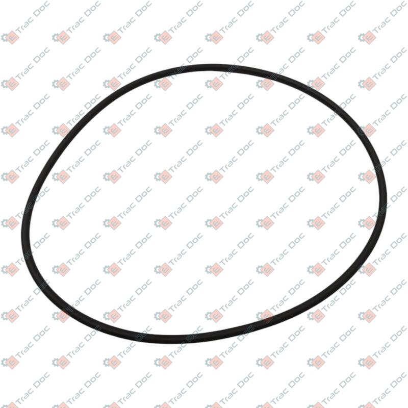 ANELLO OR VALPADANA - LANDINI - VP342795