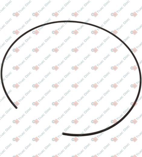 ANELLO ELASTICO - CARRARO SPA - 125233