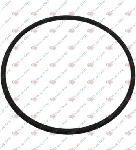 ANELLO OR - CNH Originale - 511526