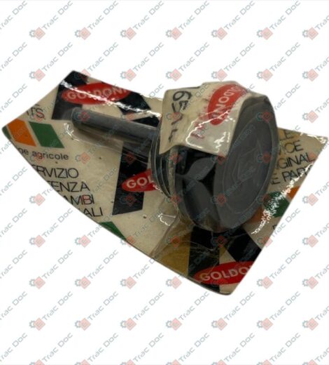 CAP WITH LEVEL ROD 3/4" GAS THREAD - GOLDONI - 00016514