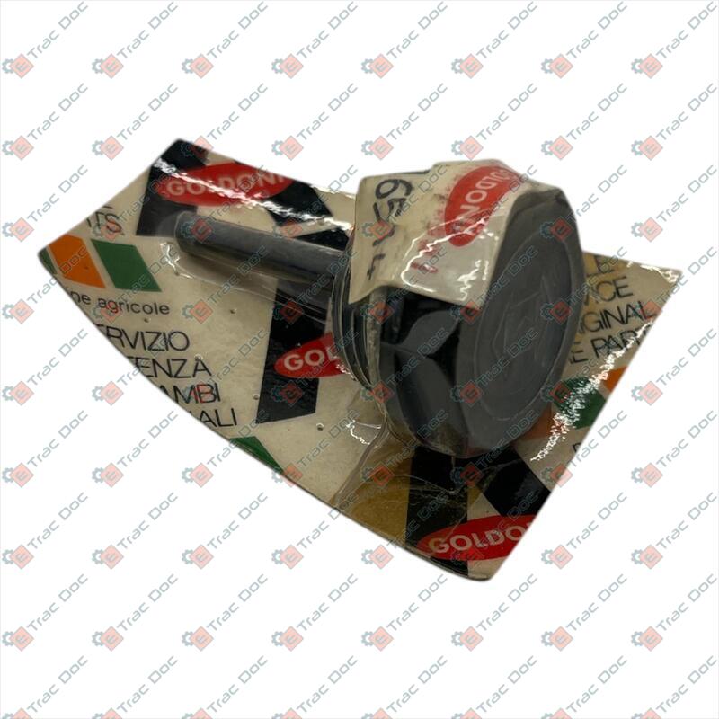 CAP WITH LEVEL ROD 3/4" GAS THREAD - GOLDONI - 00016514