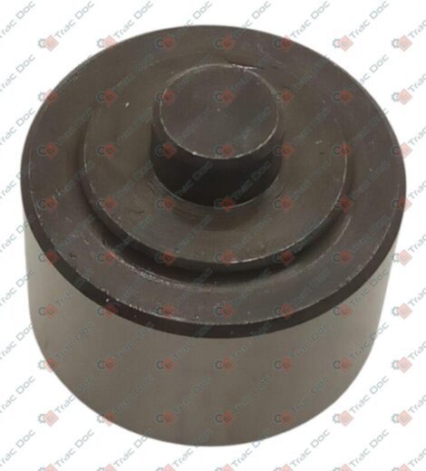 PISTONE - LANDINI - 3649688M2