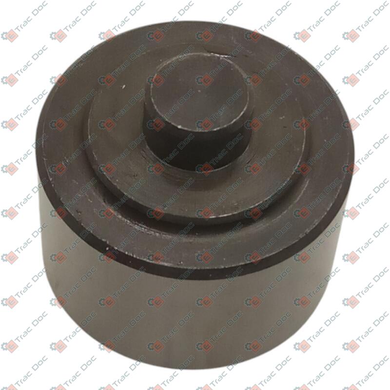 PISTONE - LANDINI - 3649688M2