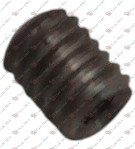 VITE SPECIALE - LANDINI - 3668828M1