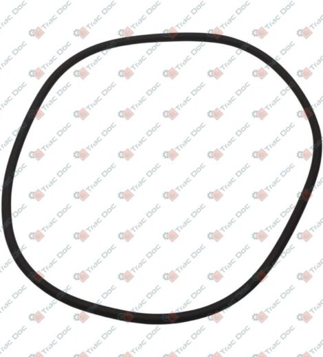 SEAL - CARRARO SPA - 91948