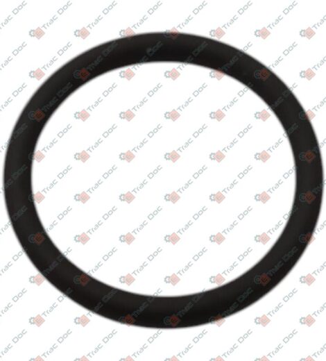 VITON G-RING - AFTERMARKET - 2.4669.070.7
