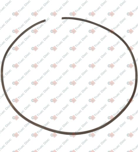 ANELLO ELASTICO - CNH Originale - 5166536