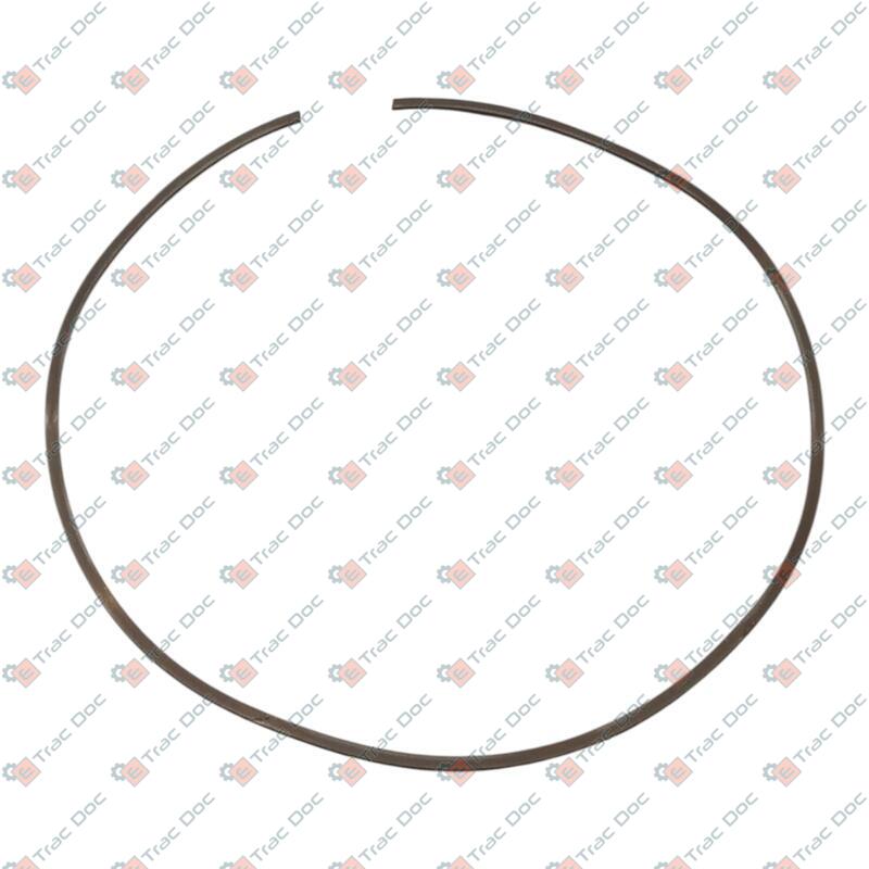ANELLO ELASTICO - CNH Originale - 5166536
