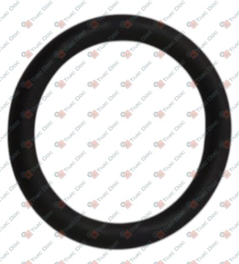 ANELLO OR - CNH Originale - 9617873