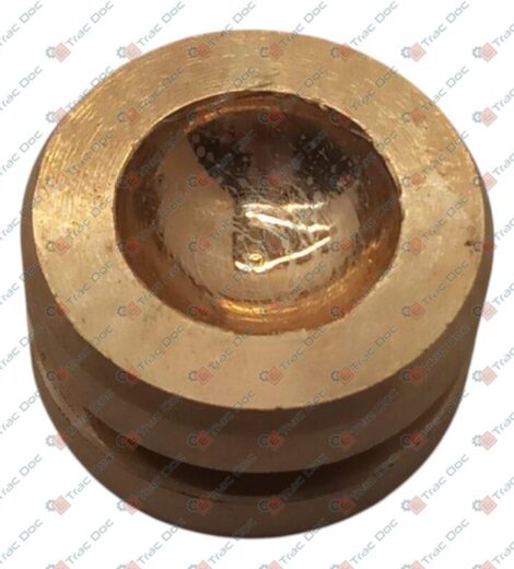 PISTON CYLINDER - GOLDONI - 00022224