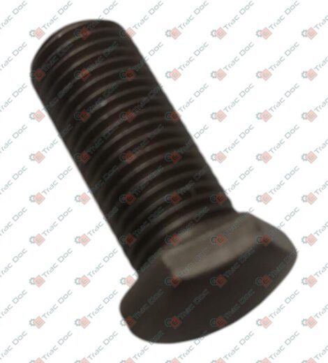 VITE SPECIALE ex 1853164M1 - LANDINI - 3147178M1