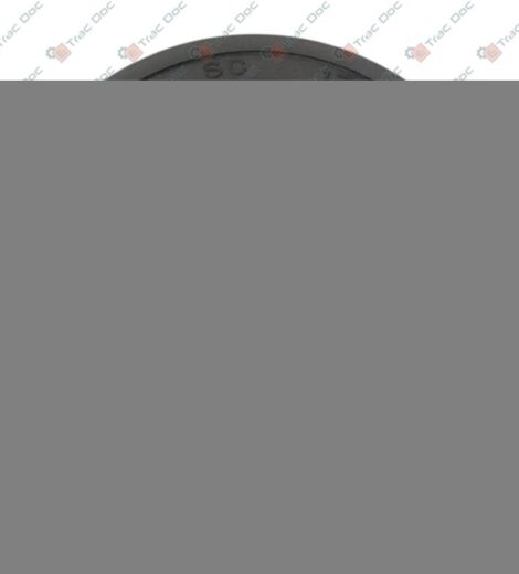 OIL SEAL 17x28x7 - LANDINI - 3686420X1