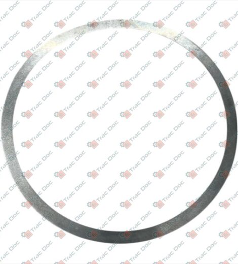 DISTANZIALE SPESSORE 0,10 mm. - LANDINI - 4202913M1