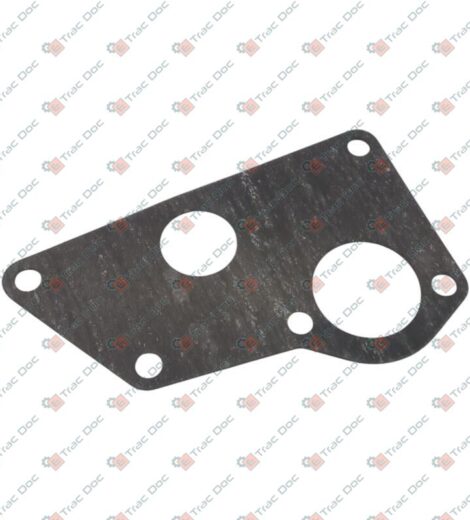 GUARNIZIONE - LANDINI - 6679812A1