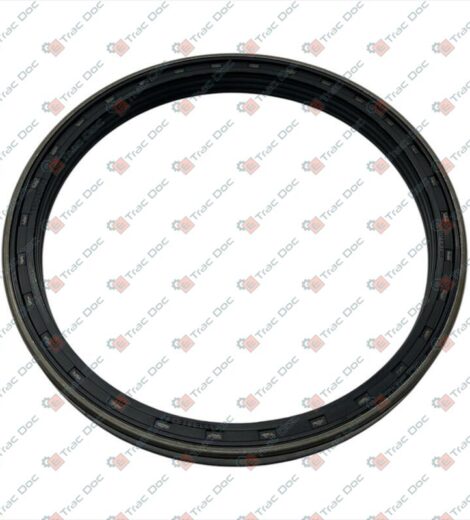 OIL SEAL 165x190x15,5 - LANDINI - 6695828A1