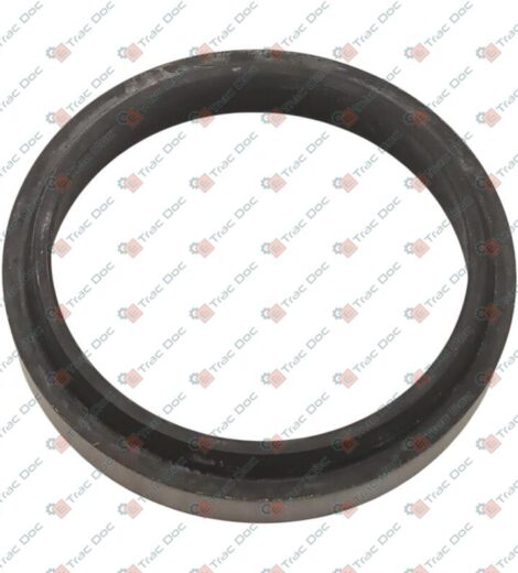 ANELLO DI TENUTA VALPADANA - LANDINI - VP341156