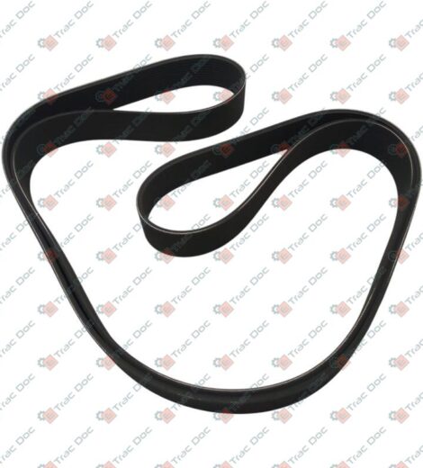 CINGHIA POLY-V - Massey Ferguson - 4292204M1