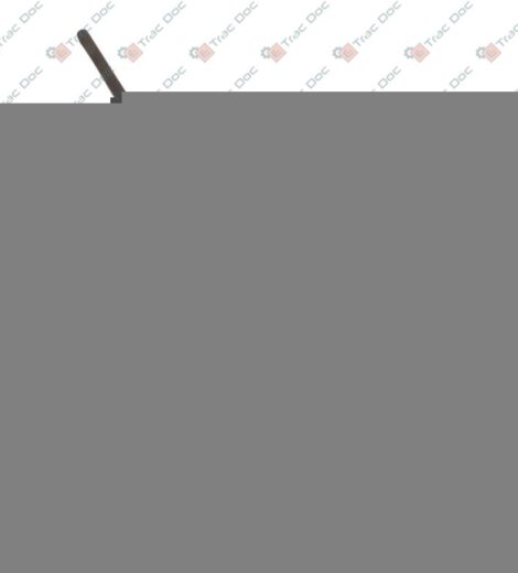 TAPPO CON ASTA LIVELLO OLIO - SAME - LAMBORGHINI - HURLIMANN - DEUTZ FAHR - 0.9104.116.3/20