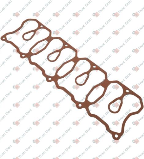 TAP COVER GASKET - VM MOTORI - 22032300F