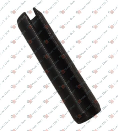 SPINA ELASTICA - BCS - 34211083