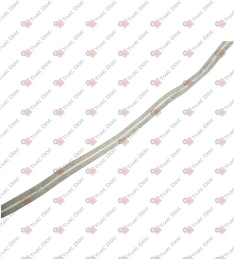 DECALCOMANIA VERDE 22x650 mm. - GOLDONI - 00033345