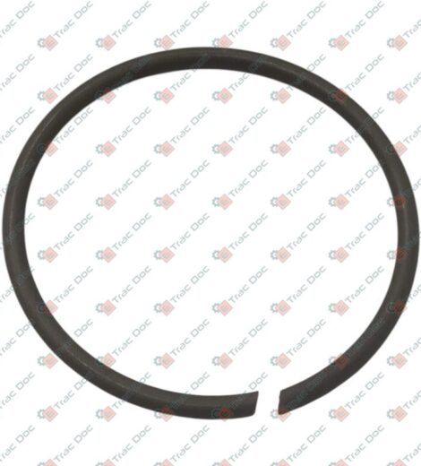 ELASTIC RING - SAME - LAMBORGHINI - HURLIMANN - DEUTZ FAHR - 2.1429.032.1/10