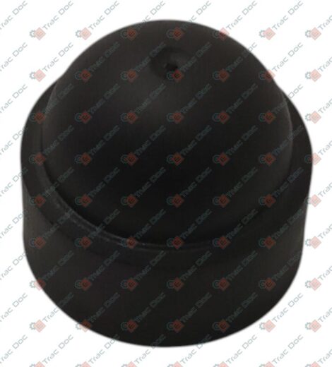 TAPPO PER DADO - Fendt - 3619609M1