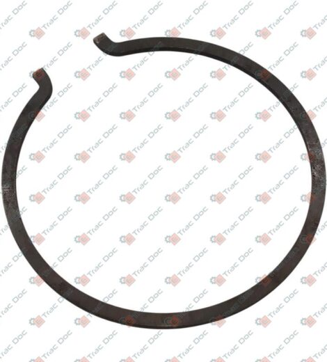 ANELLO ELASTICO - Fendt - 377631X1