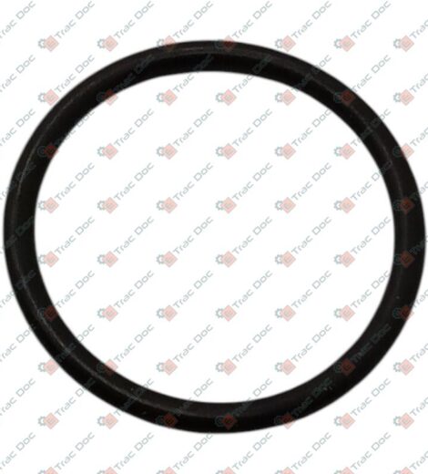 ANELLO OR - LANDINI - 3015311X1