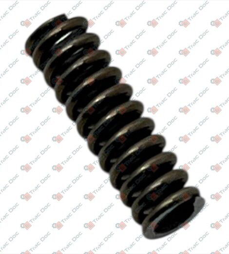 TRANSMISSION SYNCHRONIZER SPRING - LANDINI - 3533975M1