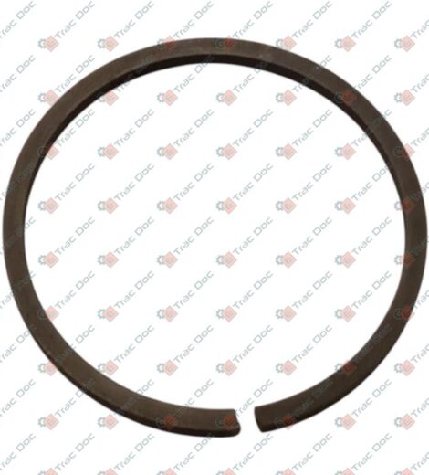 ANELLO ELASTICO - LANDINI - 3665688M1