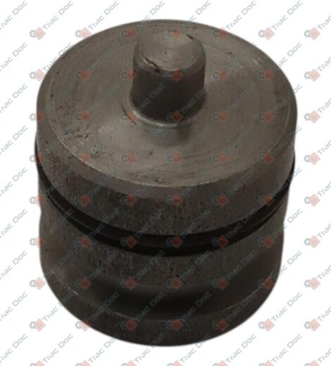 TAPPO MOLLA BLOCCAGGIO DIFFERENZIALE ANTERIORE - LANDINI - 4202910M1