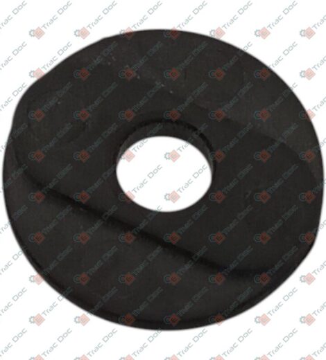 RONDELLA VALPADANA - LANDINI - VP112328