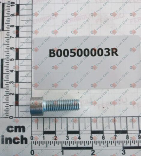 SCREW FOR DISENGAGEMENT BEARING - FERABOLI - B00500003R