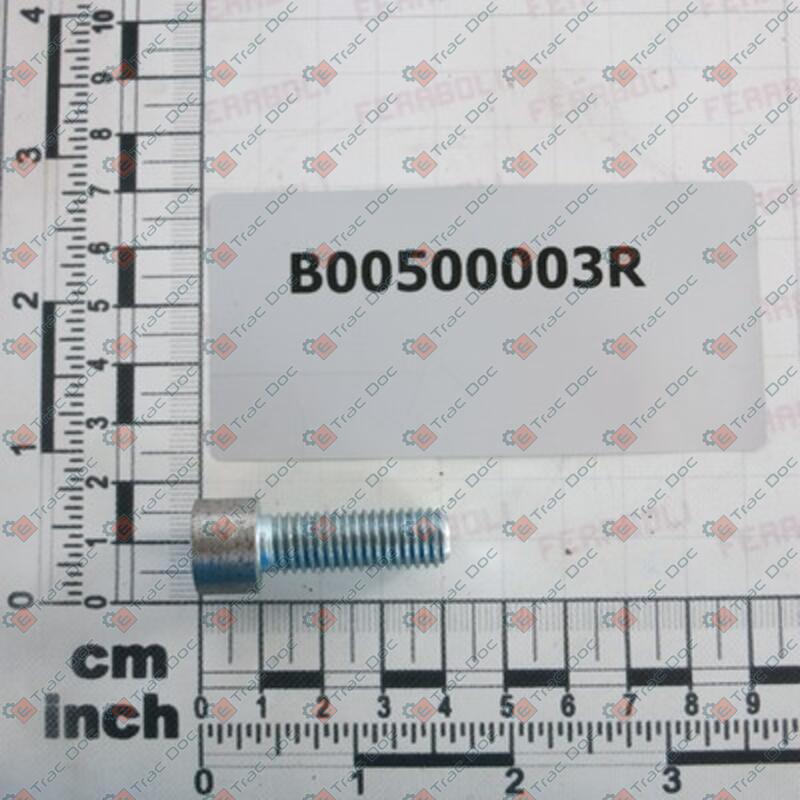 SCREW FOR DISENGAGEMENT BEARING - FERABOLI - B00500003R