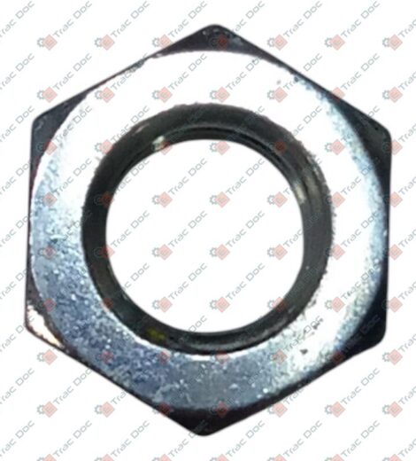 DADO M12X10 UNI5588 - GOLDONI - 06120018