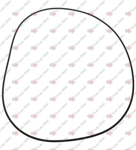 ANELLO OR - AFTERMARKET - 2.1539.038.0