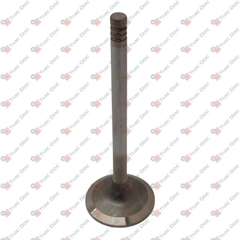 ENGINE INTAKE VALVE - Fendt - F119200210530