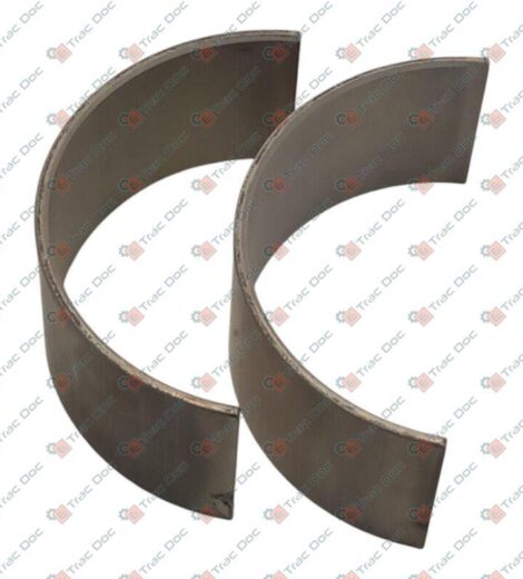 COPPIA SEMI BRONZINE DI BIELLA - Fendt - F119200310070