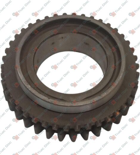 DRIVEN GEAR 4-8 - GOLDONI - 00019343