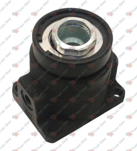 CILINDRETTO ATTUATORE FRENO - GOLDONI - 00061687