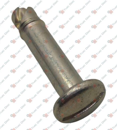 VITE A BAIONETTA FISSAGGIO CARROZZERIA - LANDINI - 3656742M2