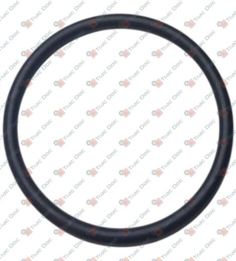 ANELLO OR - LANDINI - 6523877M1