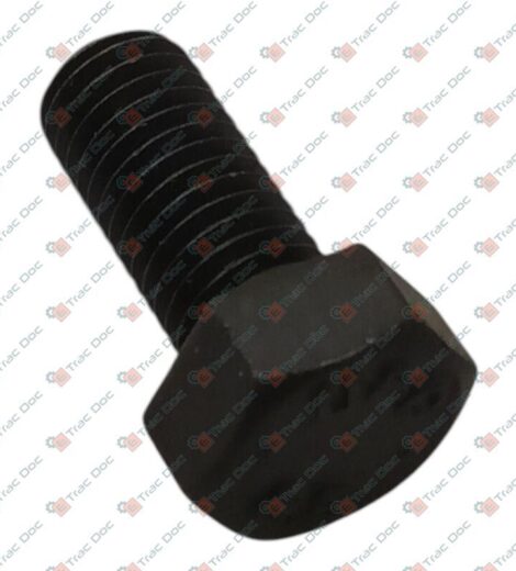 SCREW M7x16 UNI 5739 PASQUALI 2831 - BCS - P000000002831
