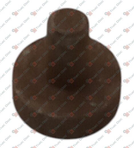 CILINDRETTO PRESSA SFERA PASQUALI 9461640 - BCS - P946164000000