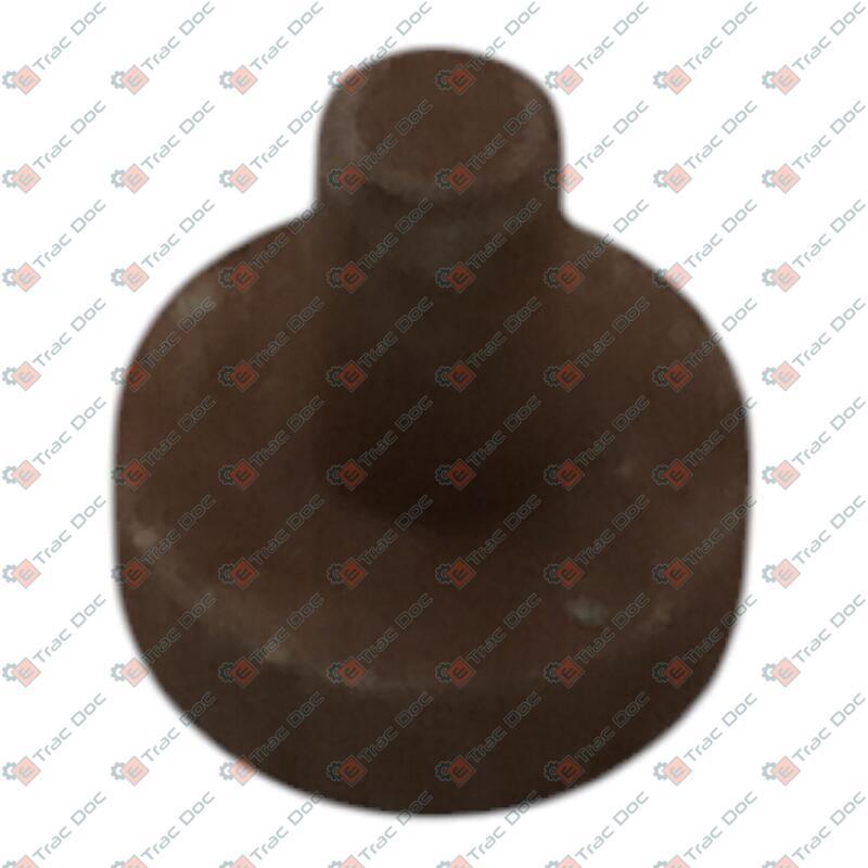 CILINDRETTO PRESSA SFERA PASQUALI 9461640 - BCS - P946164000000