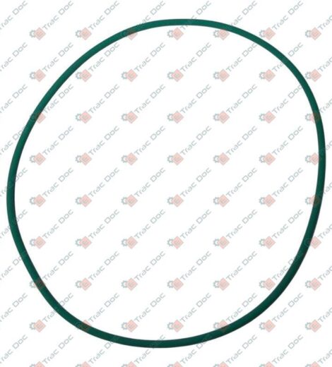 ANNOVI REVERBERI 1800161 GREEN VITON O-RING - CERMAG - 911936
