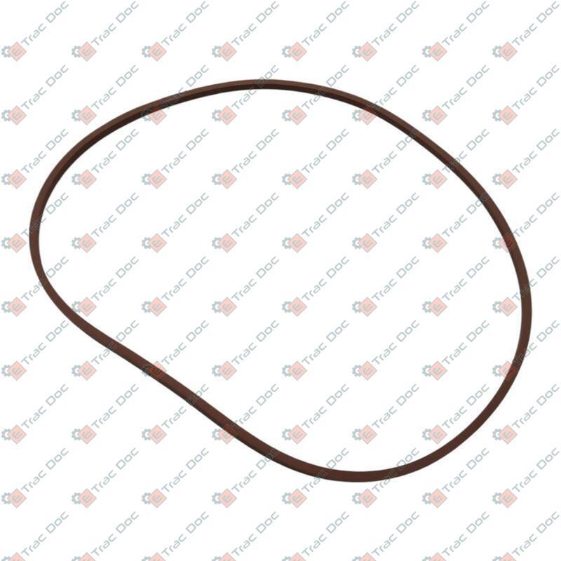 GUARNIZIONE INTERNA ATTUATORE FRENO - CNH Originale - 87388221