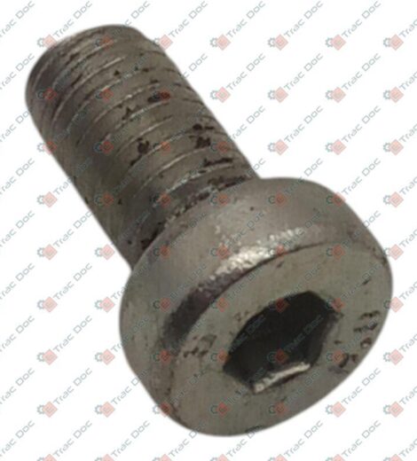 VITE TCEI M8x1,25x16 ZN DIN79 - GOLDONI - 06130149